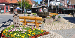 Braunlager Ortsmitte mit Eichhörnchenbrunnen, Holzbänken und Beeten voller blühender Blumen im Sonnenschein