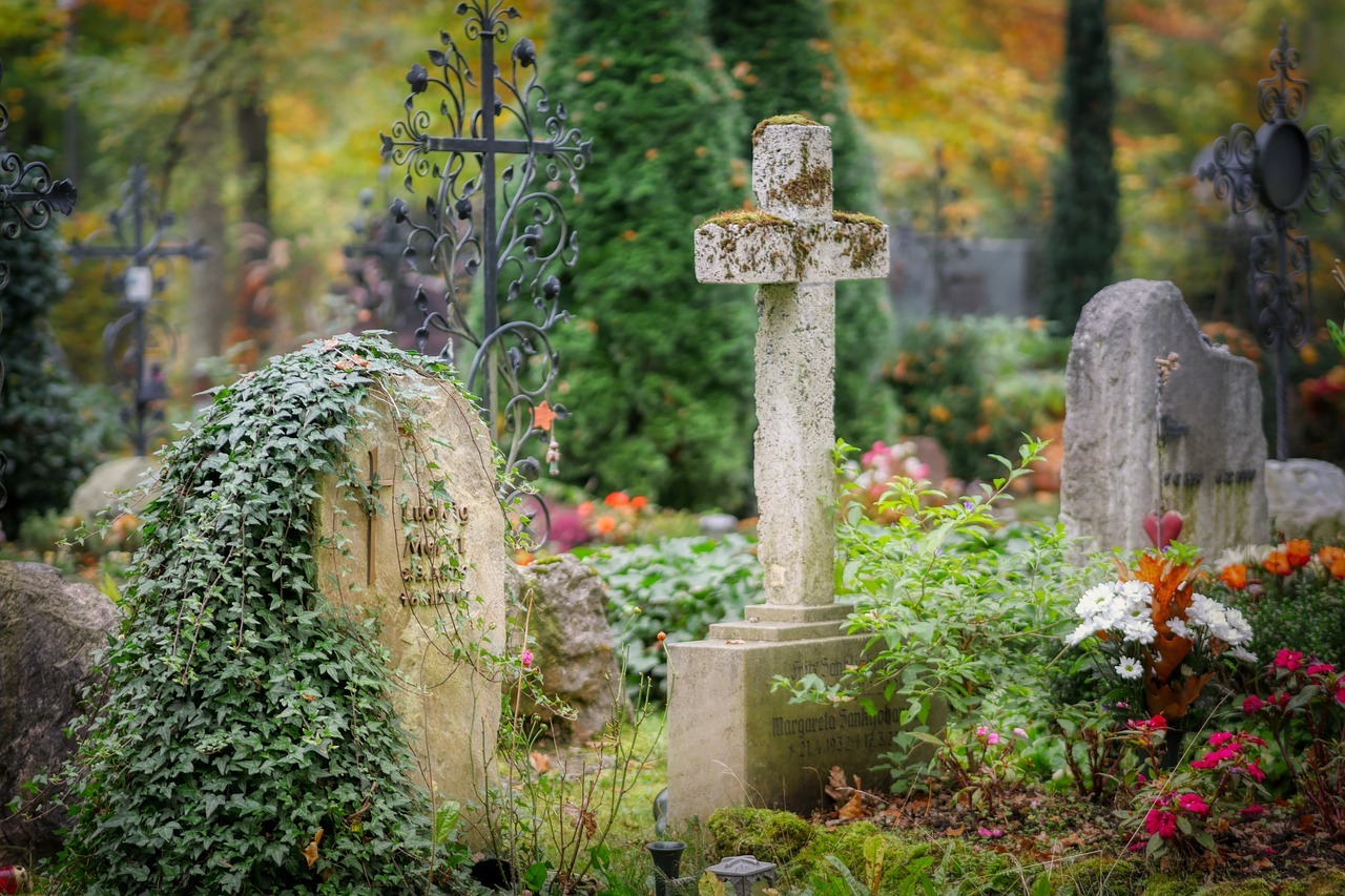 Symbolbild: Foto eines Friedhofes mit alten Grabsteinen, Efeu und anderen Pflanzen