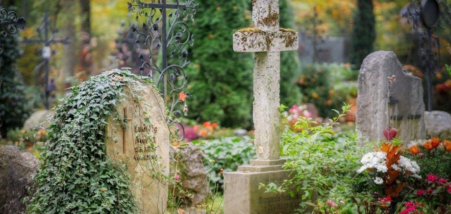 Symbolbild: Foto eines Friedhofes mit alten Grabsteinen, Efeu und anderen Pflanzen