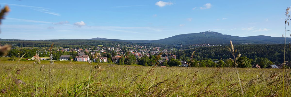 Foto: Sommerlicher Blick vom Kopf der Rathauswiese oben auf Braunlage und den Wurmberg im Sonnenschein mit blauem Himmel.