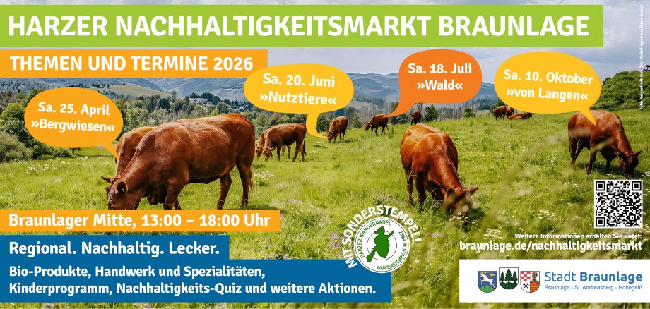 Bildformat Homepage - 1