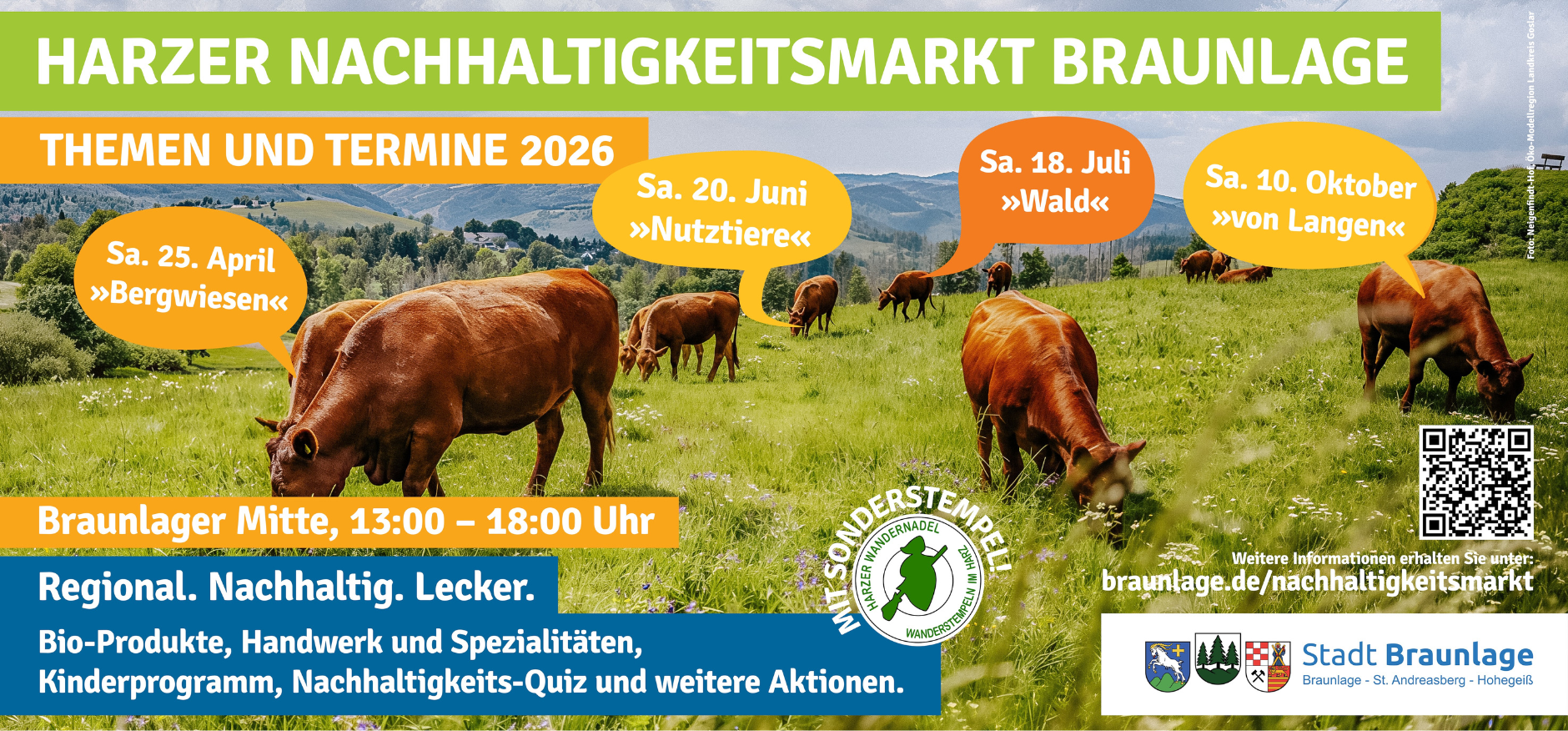 Bildformat Homepage - 1